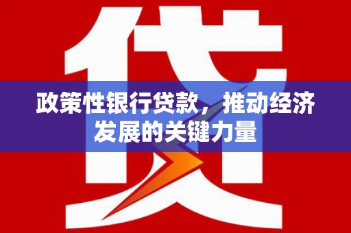 临安政策性银行贷款，推动经济发展的关键力量