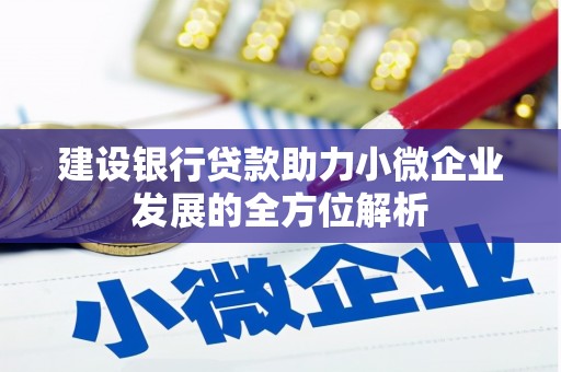临安建设银行贷款助力小微企业发展的全方位解析