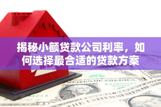 临安揭秘小额贷款公司利率，如何选择最合适的贷款方案
