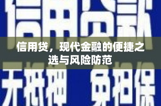 临安信用贷，现代金融的便捷之选与风险防范
