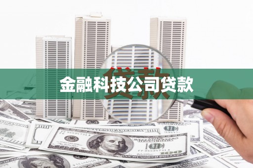 临安金融科技公司贷款