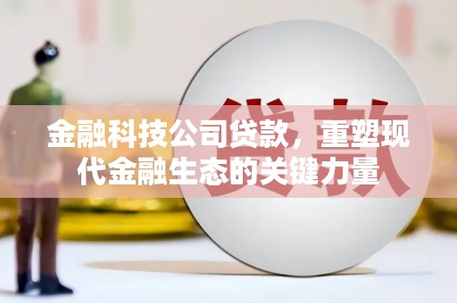 临安金融科技公司贷款，重塑现代金融生态的关键力量