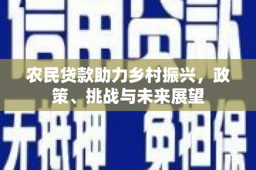临安农民贷款助力乡村振兴，政策、挑战与未来展望