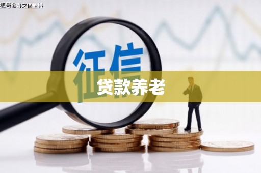 临安贷款养老