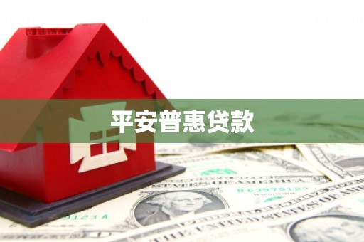 临安平安普惠贷款