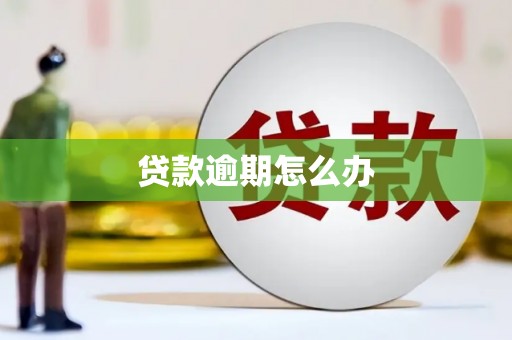临安贷款逾期怎么办