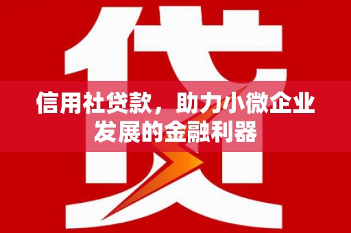 临安信用社贷款，助力小微企业发展的金融利器