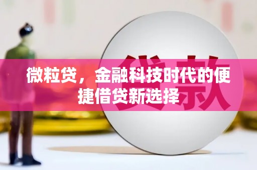 临安微粒贷，金融科技时代的便捷借贷新选择