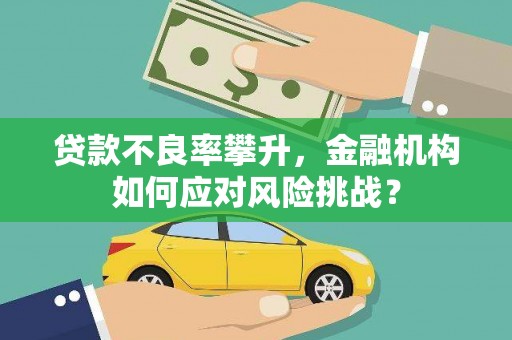 临安贷款不良率攀升，金融机构如何应对风险挑战？