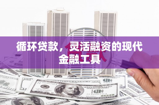 临安循环贷款，灵活融资的现代金融工具