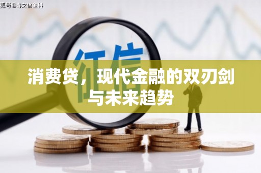临安消费贷，现代金融的双刃剑与未来趋势