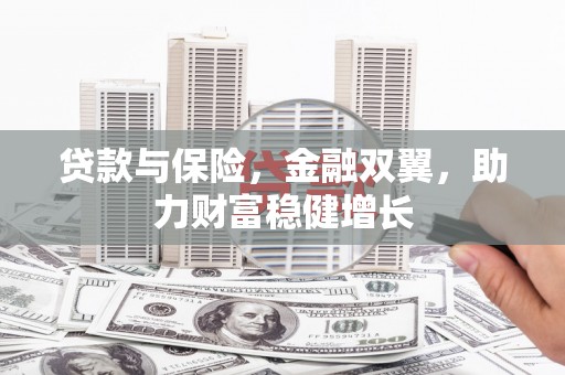 临安贷款与保险，金融双翼，助力财富稳健增长