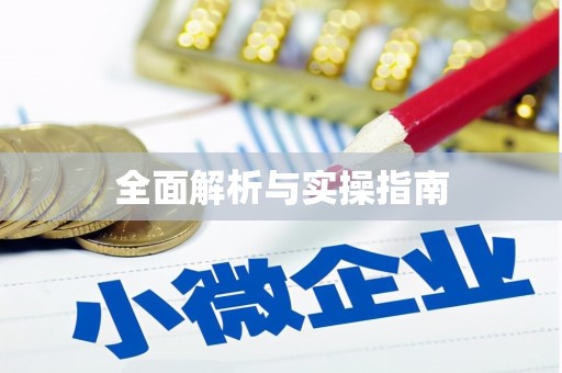 临安全面解析与实操指南