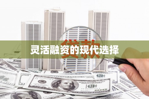 临安灵活融资的现代选择