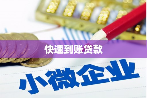 临安快速到账贷款