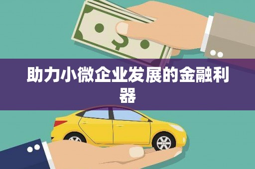 临安助力小微企业发展的金融利器