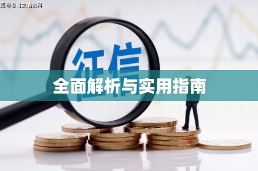 临安全面解析与实用指南