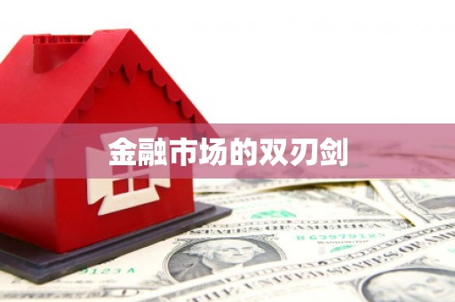 临安金融市场的双刃剑