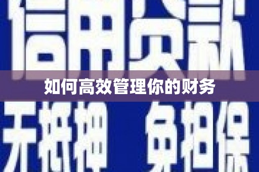 临安如何高效管理你的财务