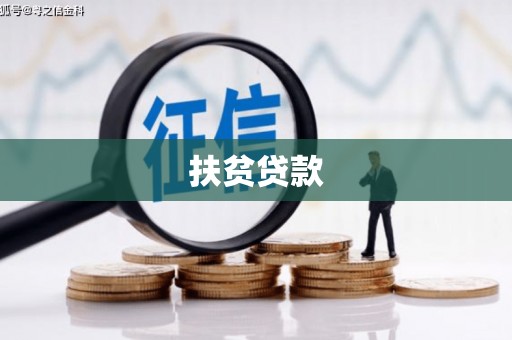 临安扶贫贷款