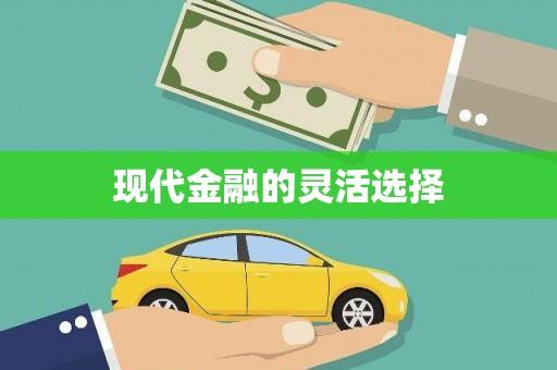 临安现代金融的灵活选择