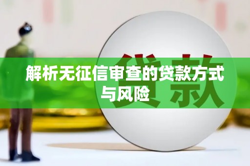 临安解析无征信审查的贷款方式与风险