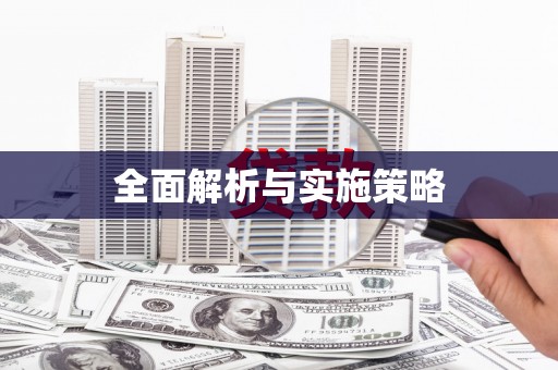 临安全面解析与实施策略
