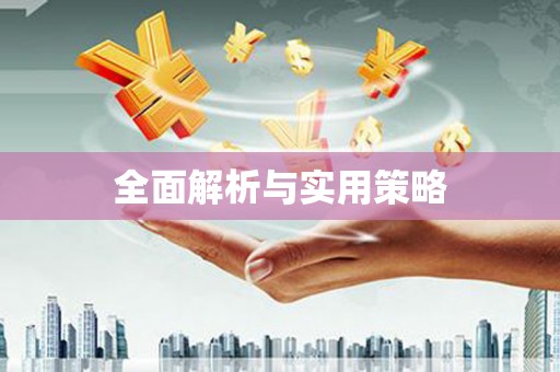 临安全面解析与实用策略