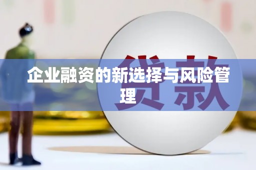临安企业融资的新选择与风险管理