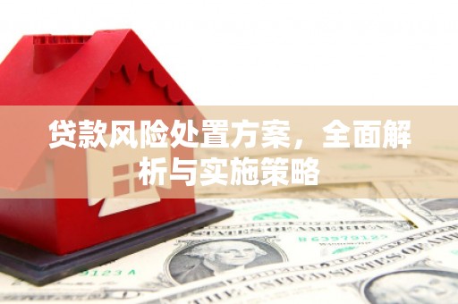 临安贷款风险处置方案，全面解析与实施策略