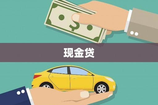 临安现金贷