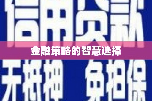 临安金融策略的智慧选择