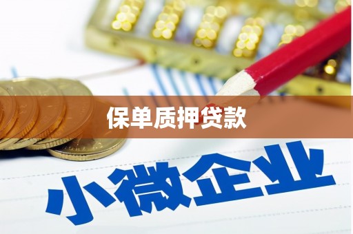 临安保单质押贷款