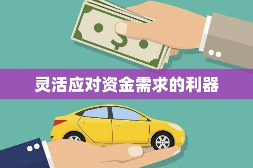 临安灵活应对资金需求的利器