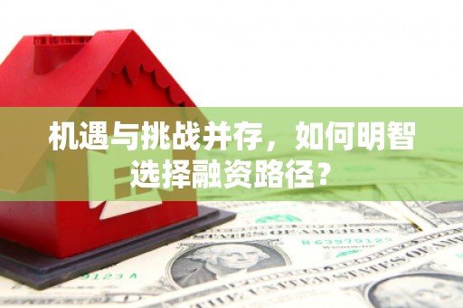 临安机遇与挑战并存，如何明智选择融资路径？