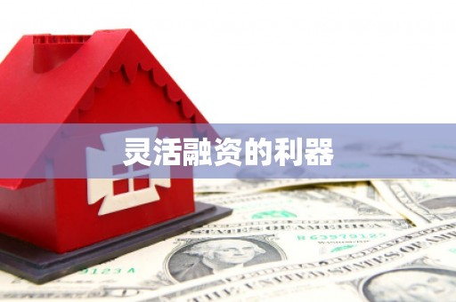 临安灵活融资的利器