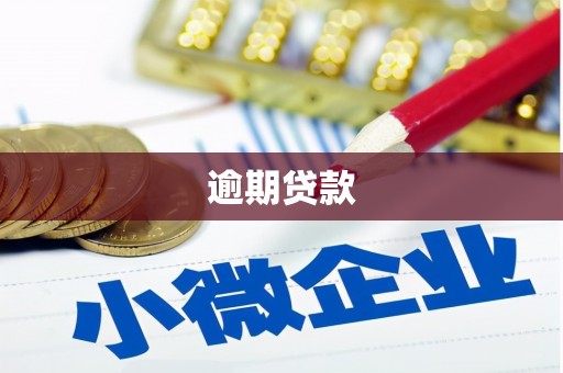 临安逾期贷款