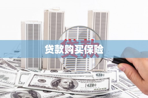 临安贷款购买保险