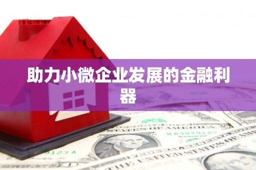 临安助力小微企业发展的金融利器