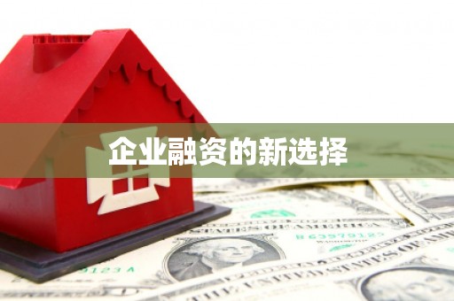 临安企业融资的新选择
