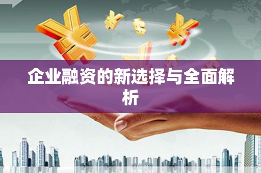 临安企业融资的新选择与全面解析