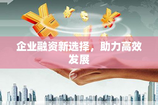 临安企业融资新选择，助力高效发展