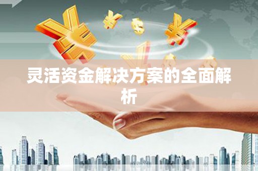 临安灵活资金解决方案的全面解析