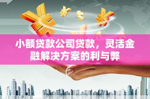 临安小额贷款公司贷款，灵活金融解决方案的利与弊